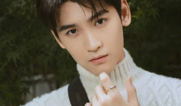 娱乐圈吃瓜爆料朱一龙,娱乐圈爆料中的神秘魅力